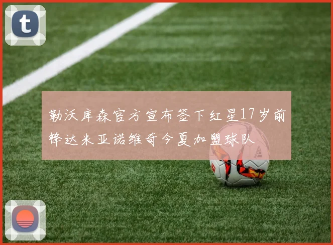 勒沃库森官方宣布签下红星17岁前锋达米亚诺维奇今夏加盟球队