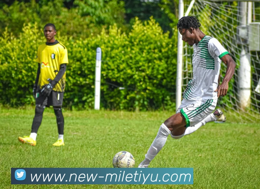 App Interface Preview