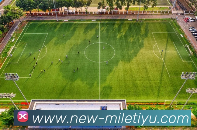 米乐体育APP 封面图